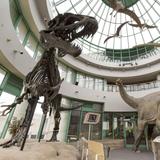 North Carolina Museum of Natural Sciences