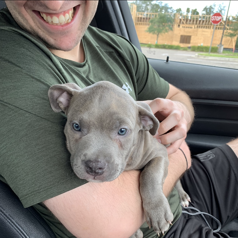 the day we brought Zoey home - Sept. 2019