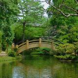 Fort Worth Botanic Garden