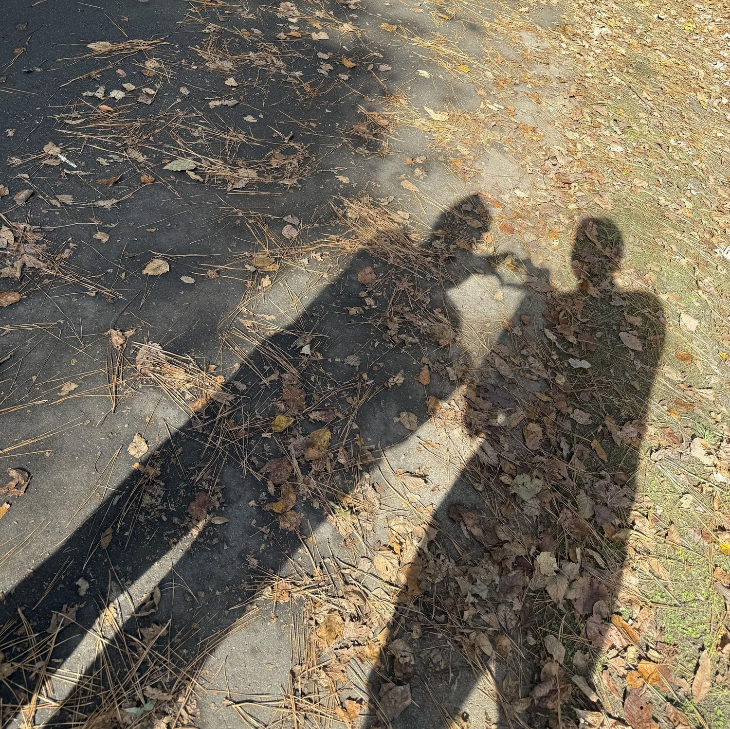 Morning walks together :)