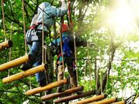 Go Ape Zip Line & Treetop Adventure - Shelby Farms Park