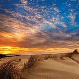 Jockey's Ridge State Park
