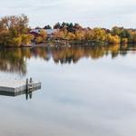 Quinn's Pond