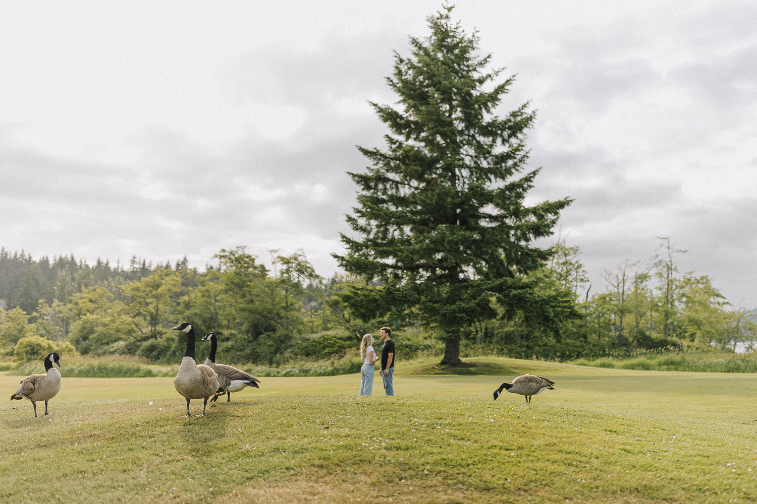 The Wedding Website of Abby Miller and Brad Taddonio