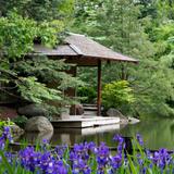 Anderson Japanese Gardens