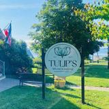 Tulip's Brunch House