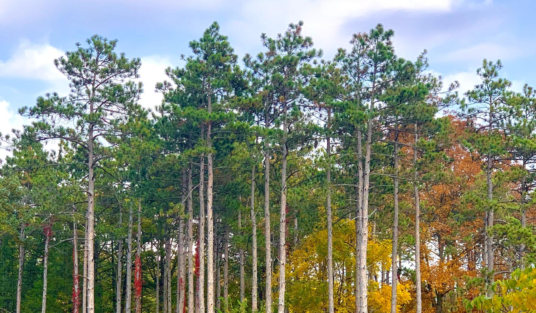 The Wedding Website of Meghann Ashman and Cameron Gould