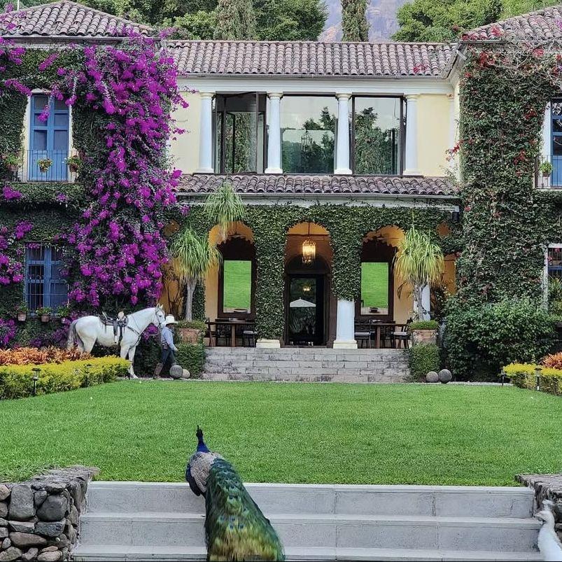 Our wedding venue: Casa Feronia!