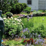 Berkshire Botanical Garden