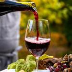 WINE TASTING
