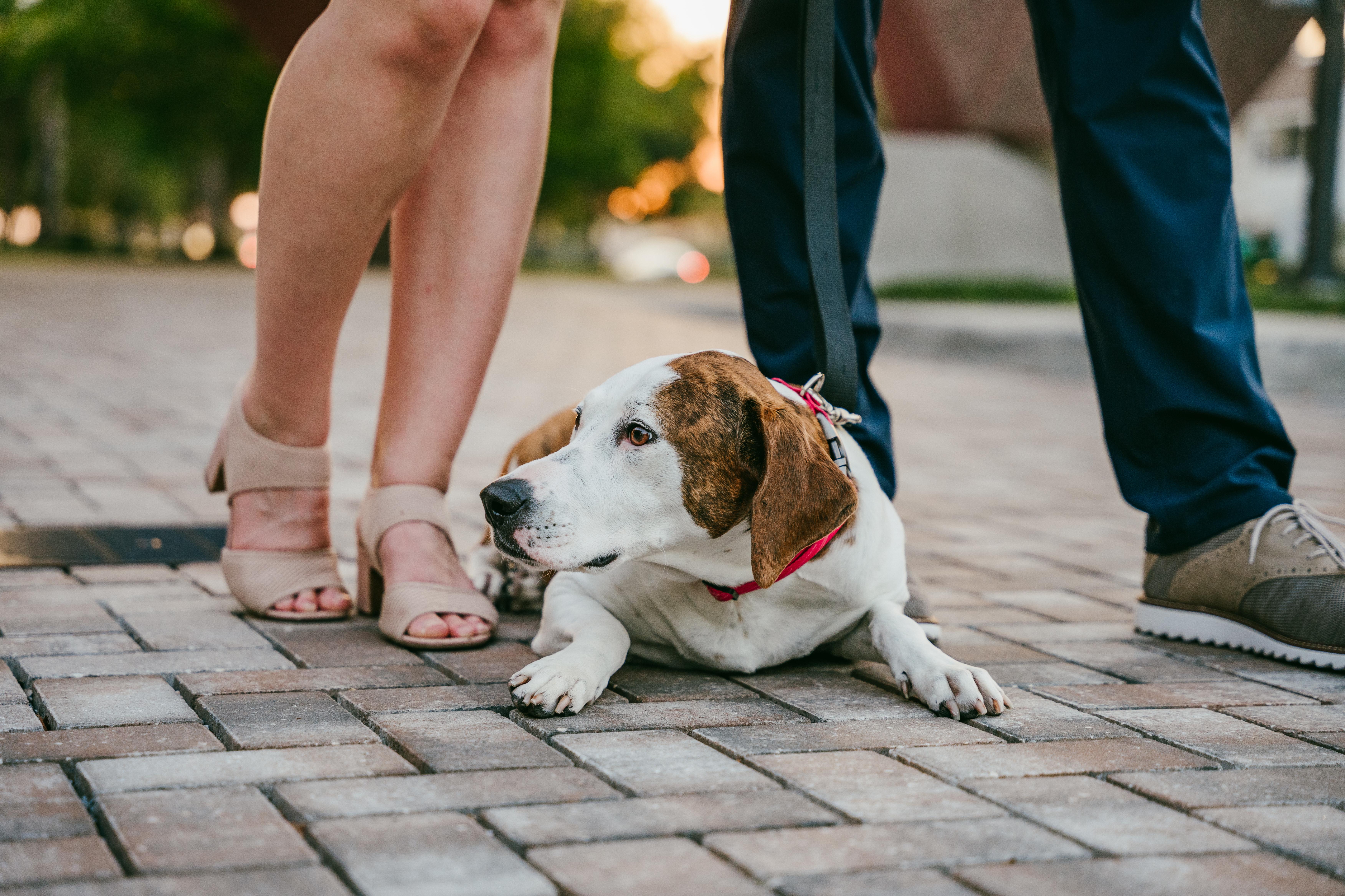 The Wedding Website of Anita Naylor and Cody Rochford