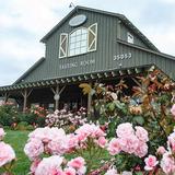 Ponte Winery