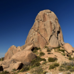 Tom's Thumb