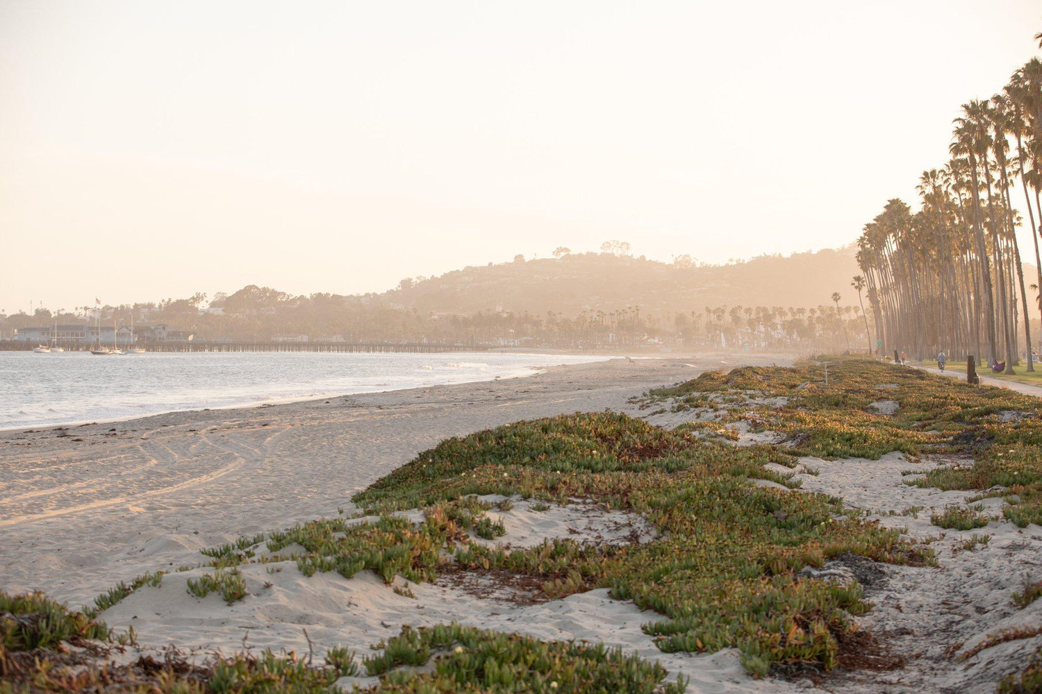 The Wedding Website of Justine Cooper and Collin McGrath