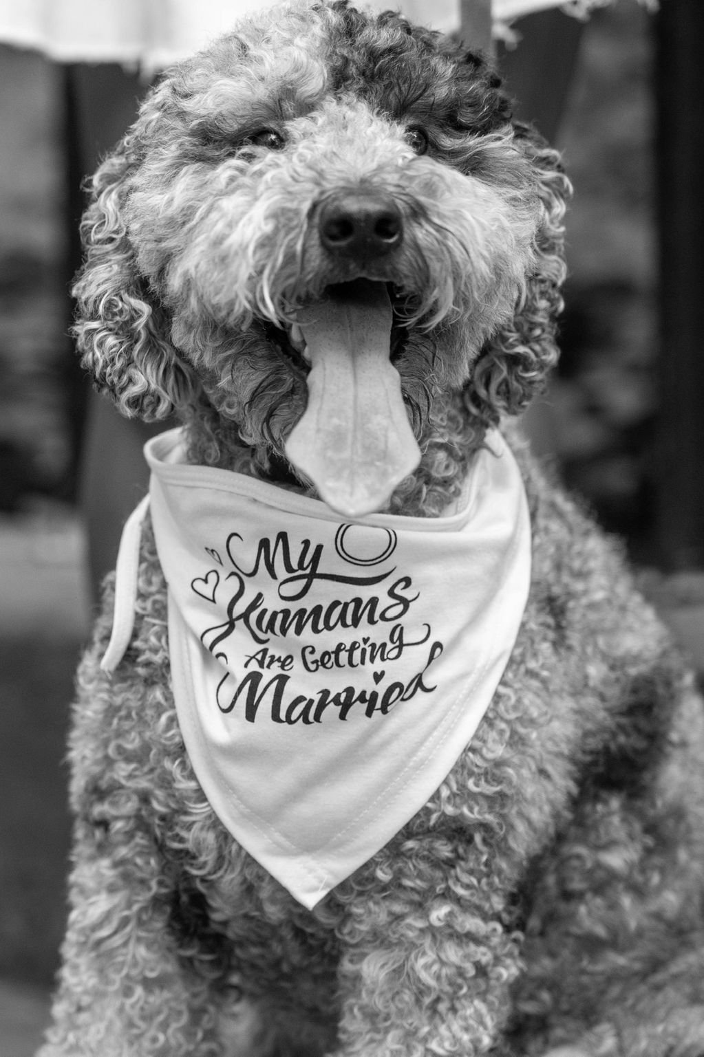 The Wedding Website of Anjali Etwaru and Jimmy Szymanski