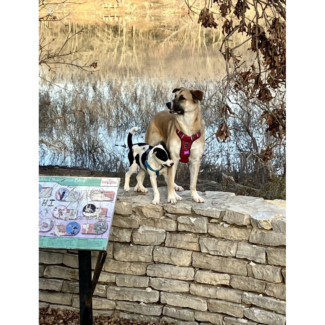 Now we're able to share our favorite hike with Deeda and Hank