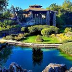 Japanese Tea Garden