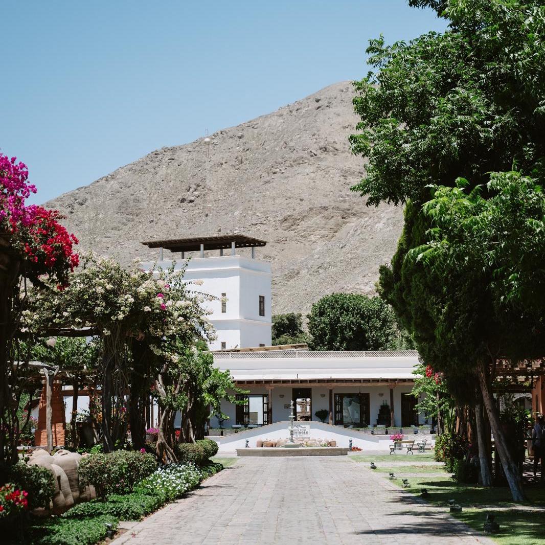 Quierolo Vineyard, Ica, Peru
