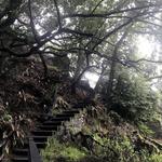Mount Tamalpais State Park