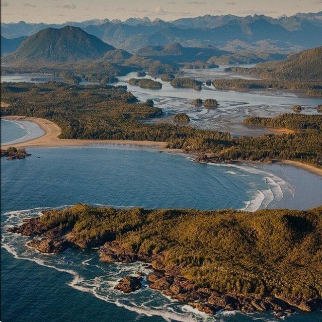 Our Tofino Honeymoon💛