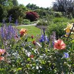 The Arboretum