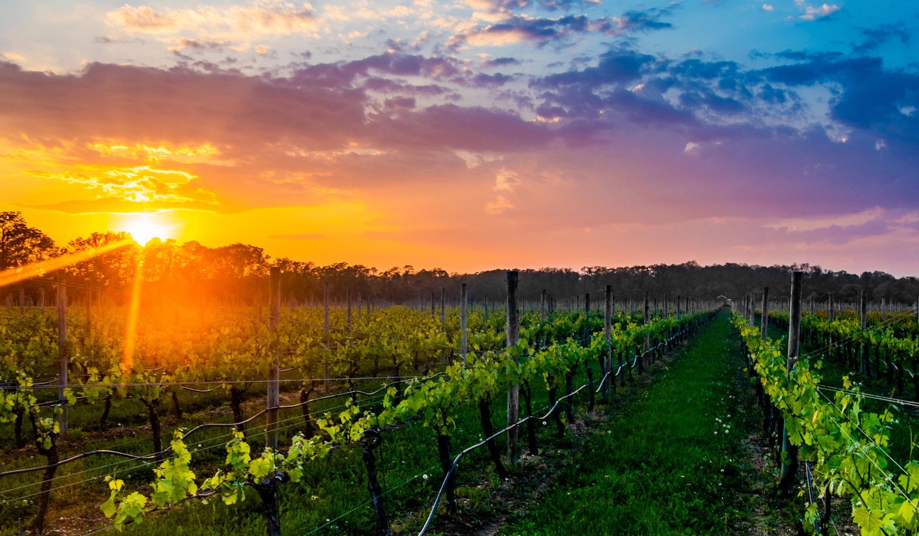 The Wedding Website of Nicole Deissler and Tyler Dube