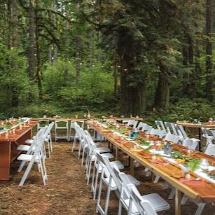 A reception in old growth forest!