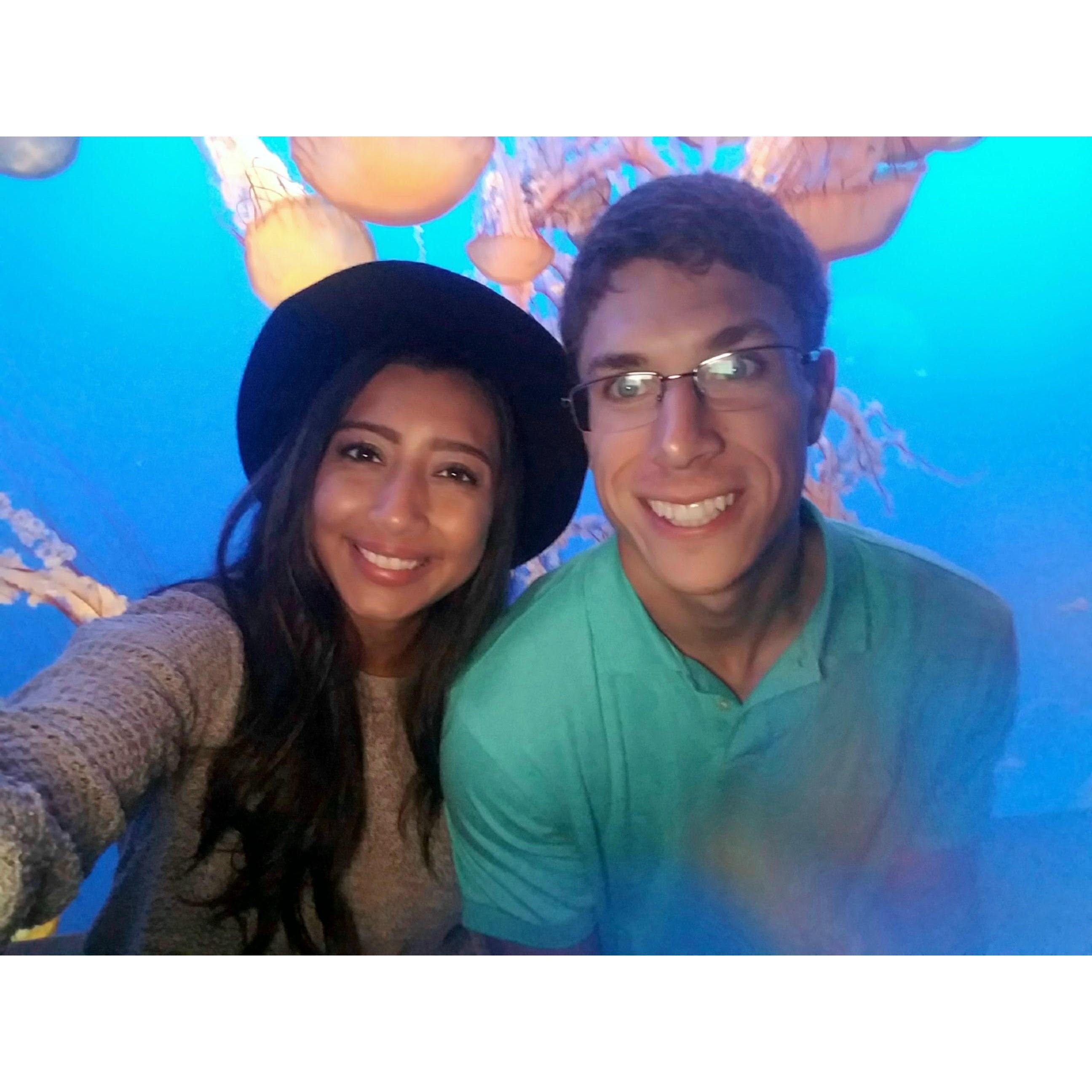Monterey Bay Aquarium