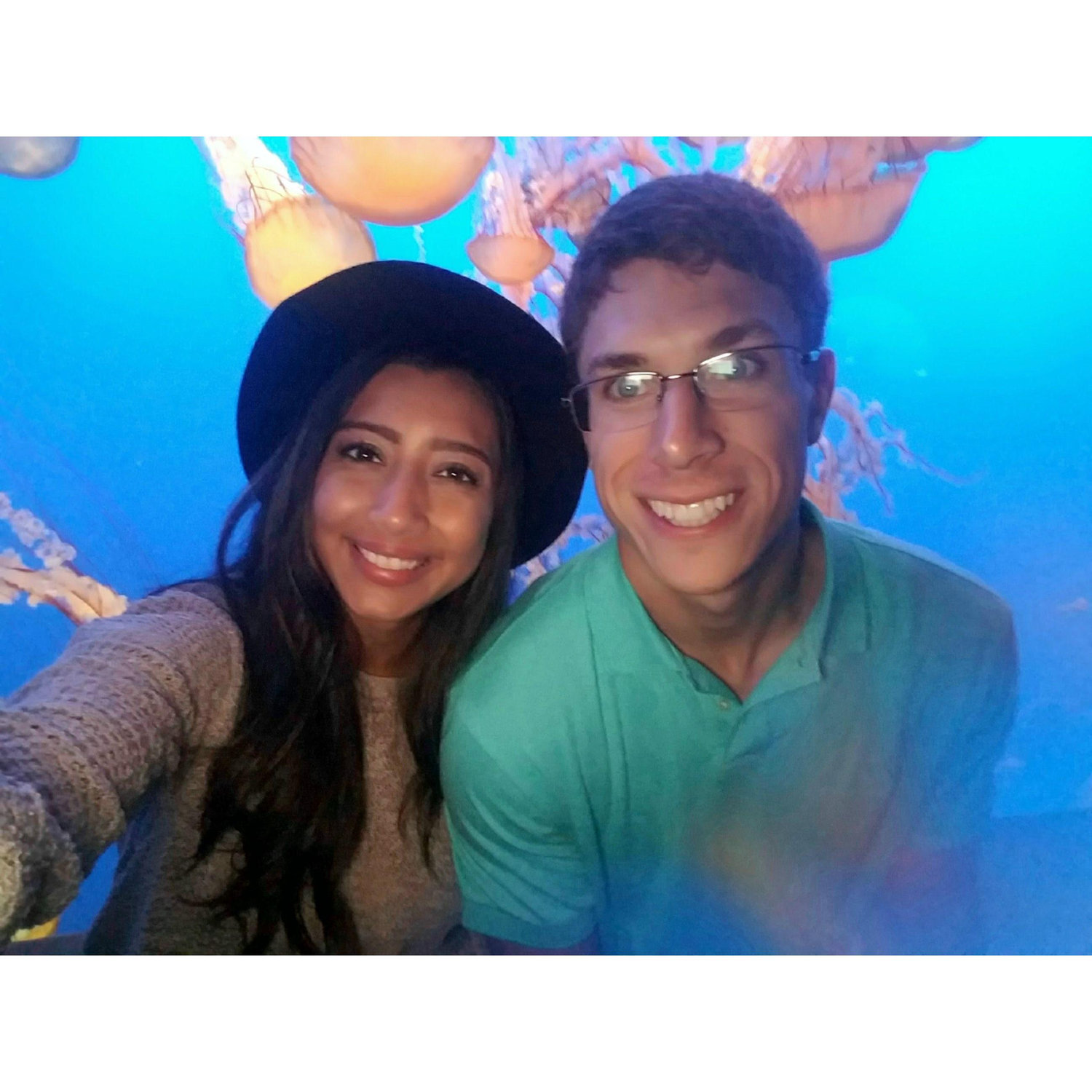 Monterey Bay Aquarium