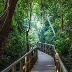 Manuel Antonio National Park Tour