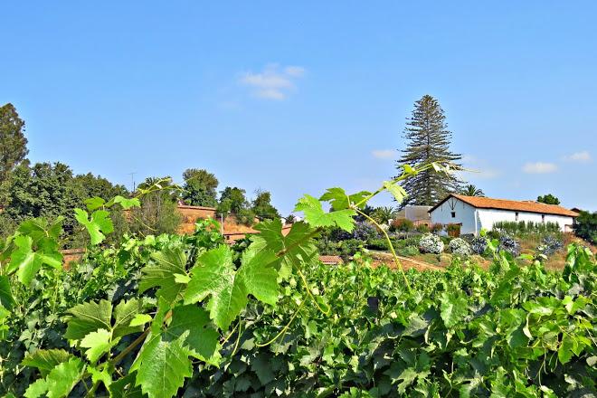 The Wedding Website of Kyle Miller and Daniela Pimentel Gaete