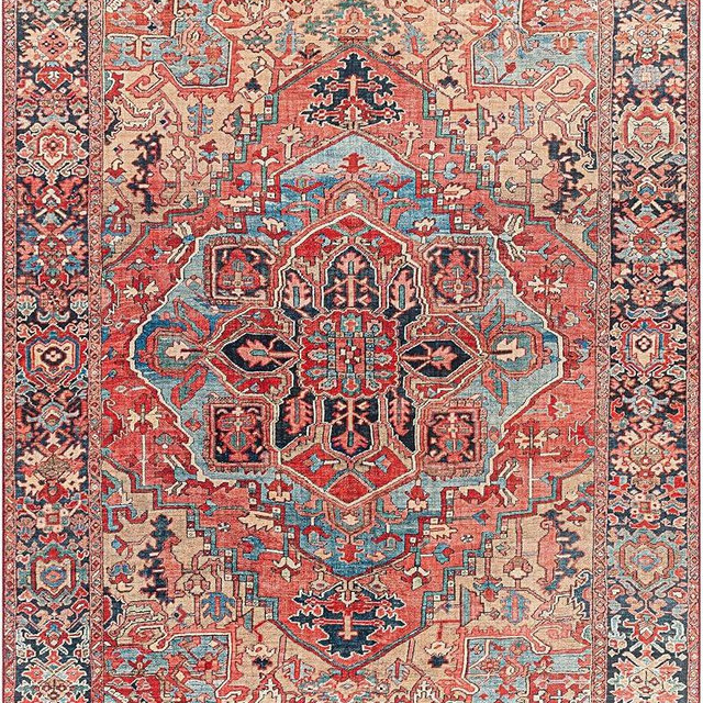 BoutiqueRugs Neyland Traditional Medallion Area Rug - Performance and High Traffic Carpet for Living Room, Dining Room, Bedroom - Red, Blue, Pink - 8'10" x 12' (9x12)