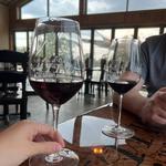 Invention Vineyard