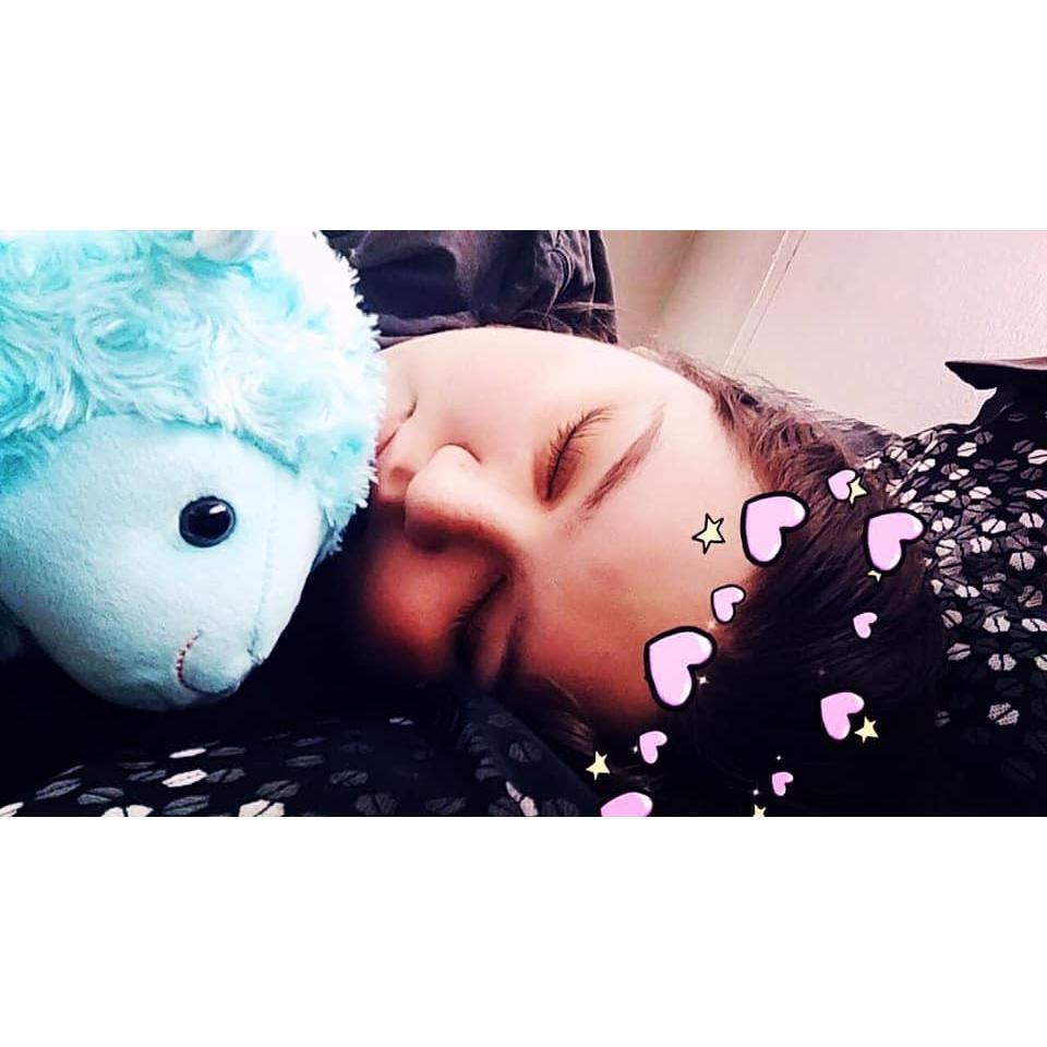 Callie asleep with Meryl Sheep.