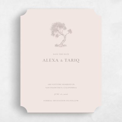 Pink Ticket Wedding Save the Date - Manitou Stamp