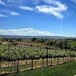 Kindred Vineyards