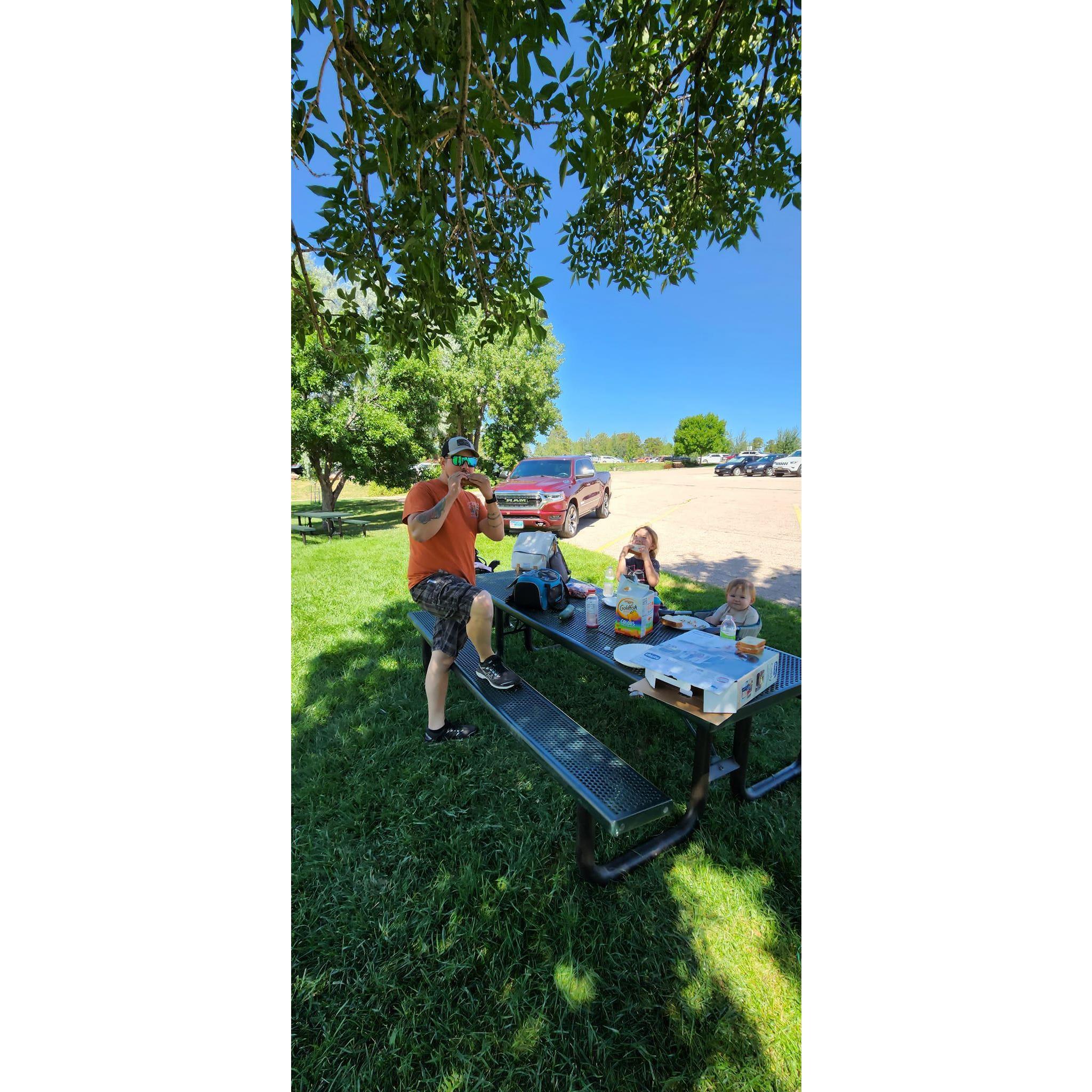 Picnic at Bear Country.
