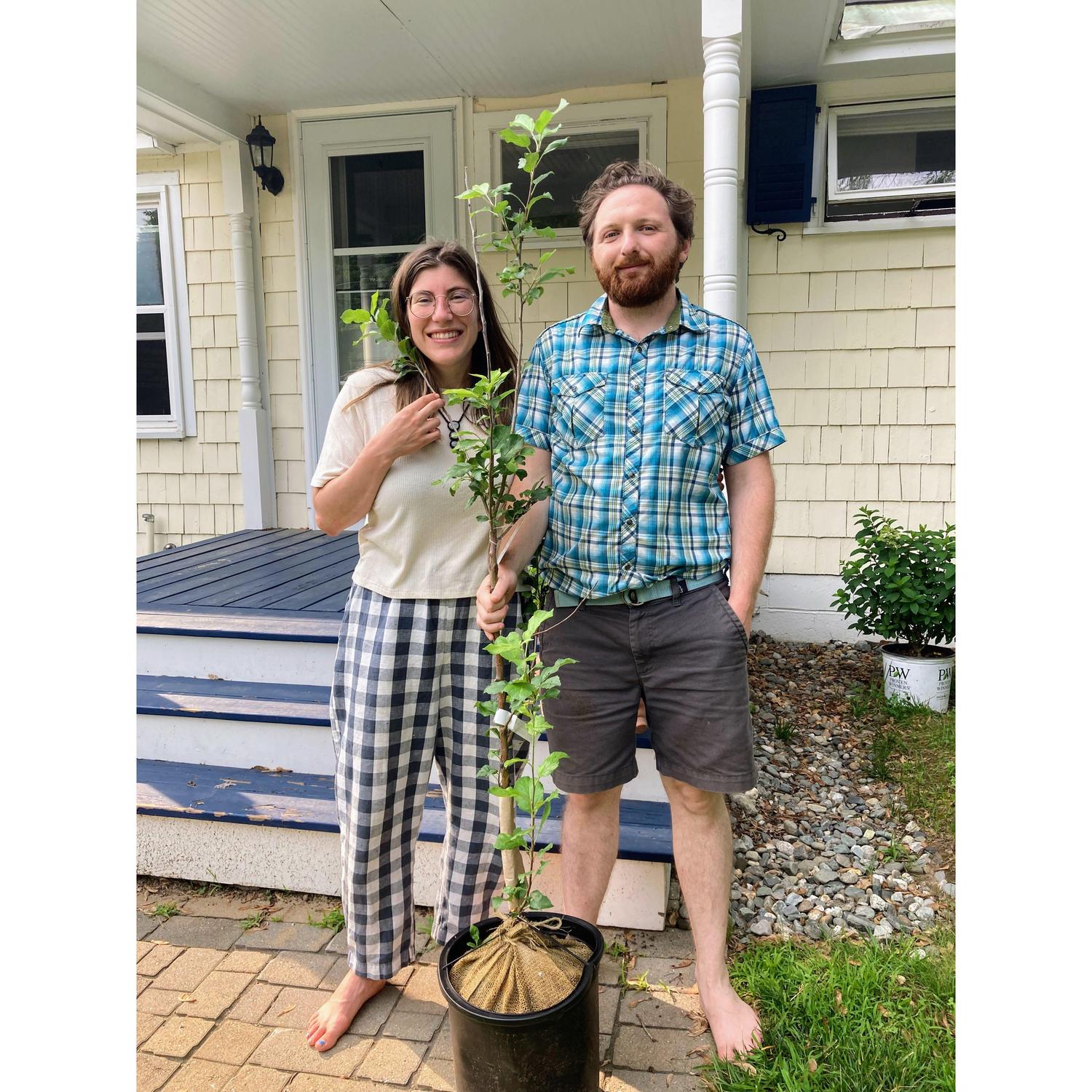 The first plant we bought for our new house was an apple tree