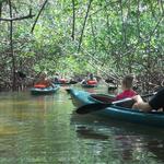 Adventure Kayak Outfitters Tours & Rentals