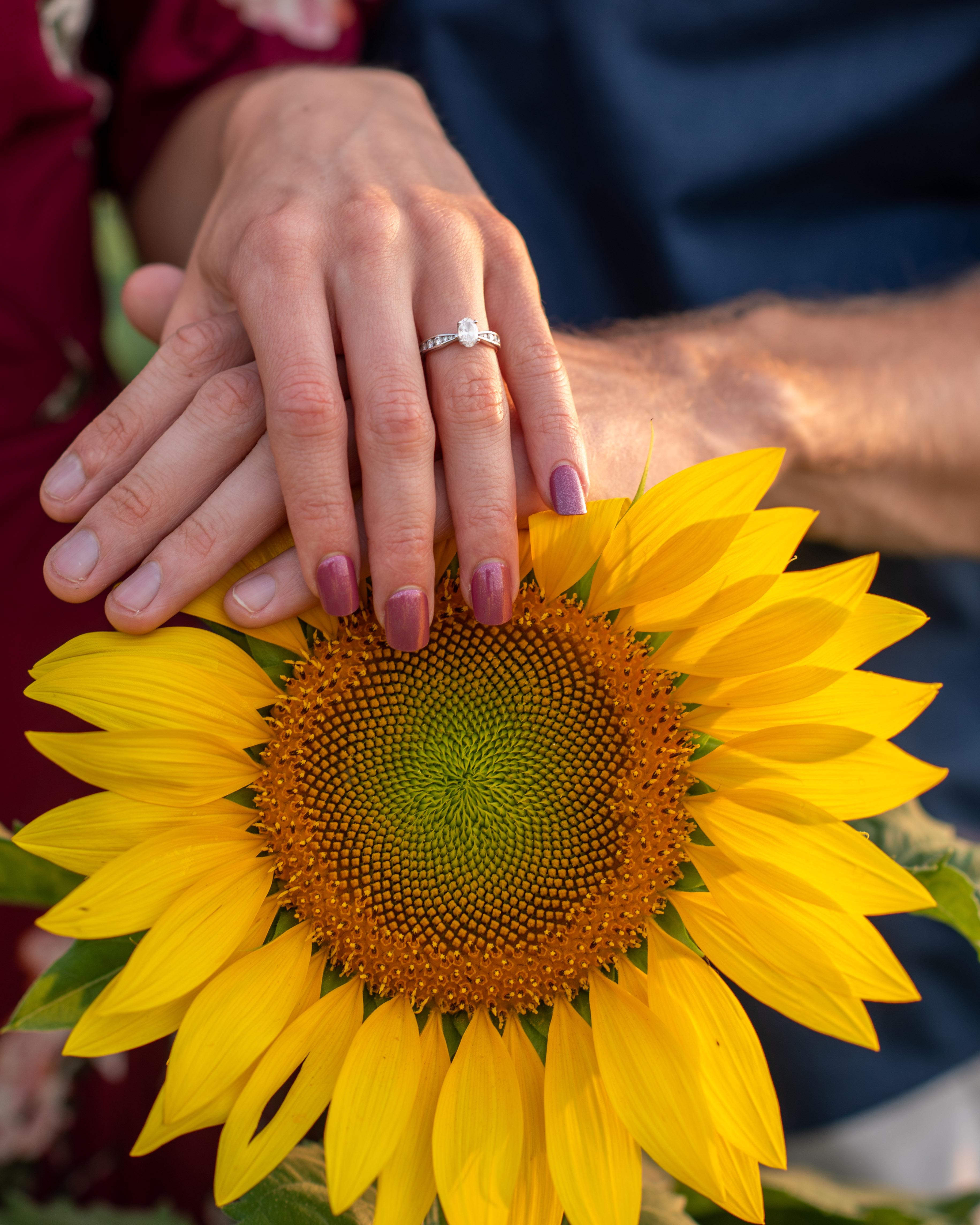 The Wedding Website of Justine Betz and Dulton Moore