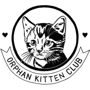 Orphan Kitten Club