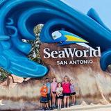 SeaWorld Drive
