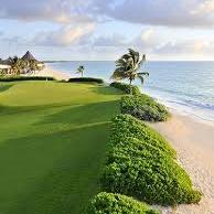 Mayakoba Golf Outing