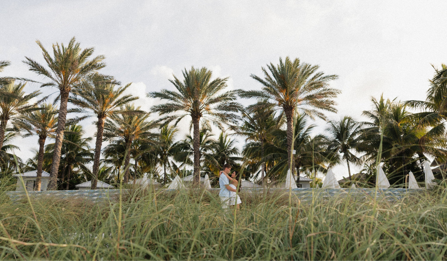 The Wedding Website of Amanda Zanville and Pierre Armstrong