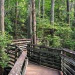 First Landing State Park