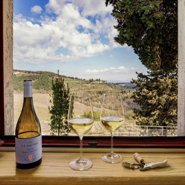 Wine Tasting in Tuscany
