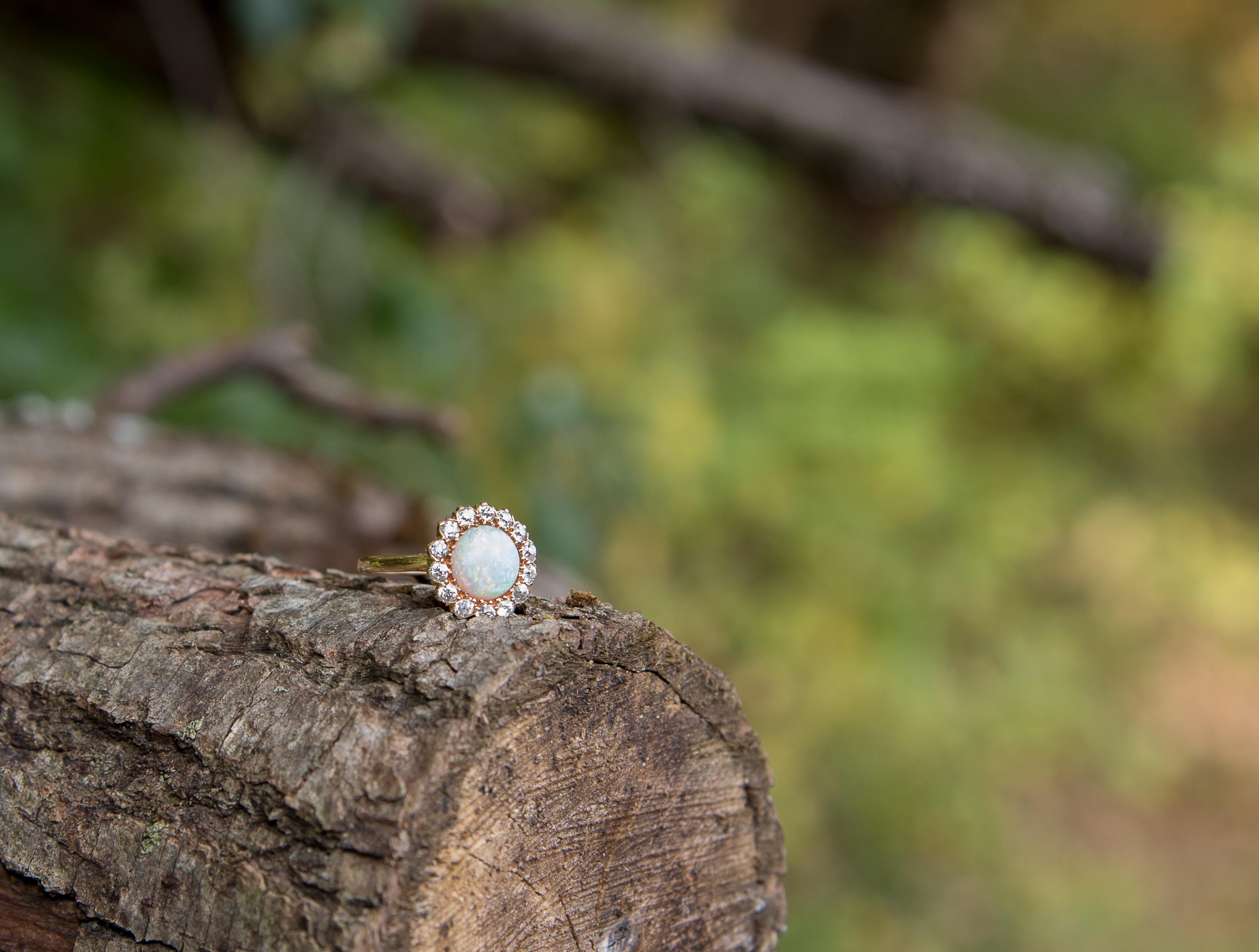 The Wedding Website of Chenice Stietz and Lane Shippy