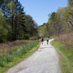 Cochran Shoals Trail River Loop