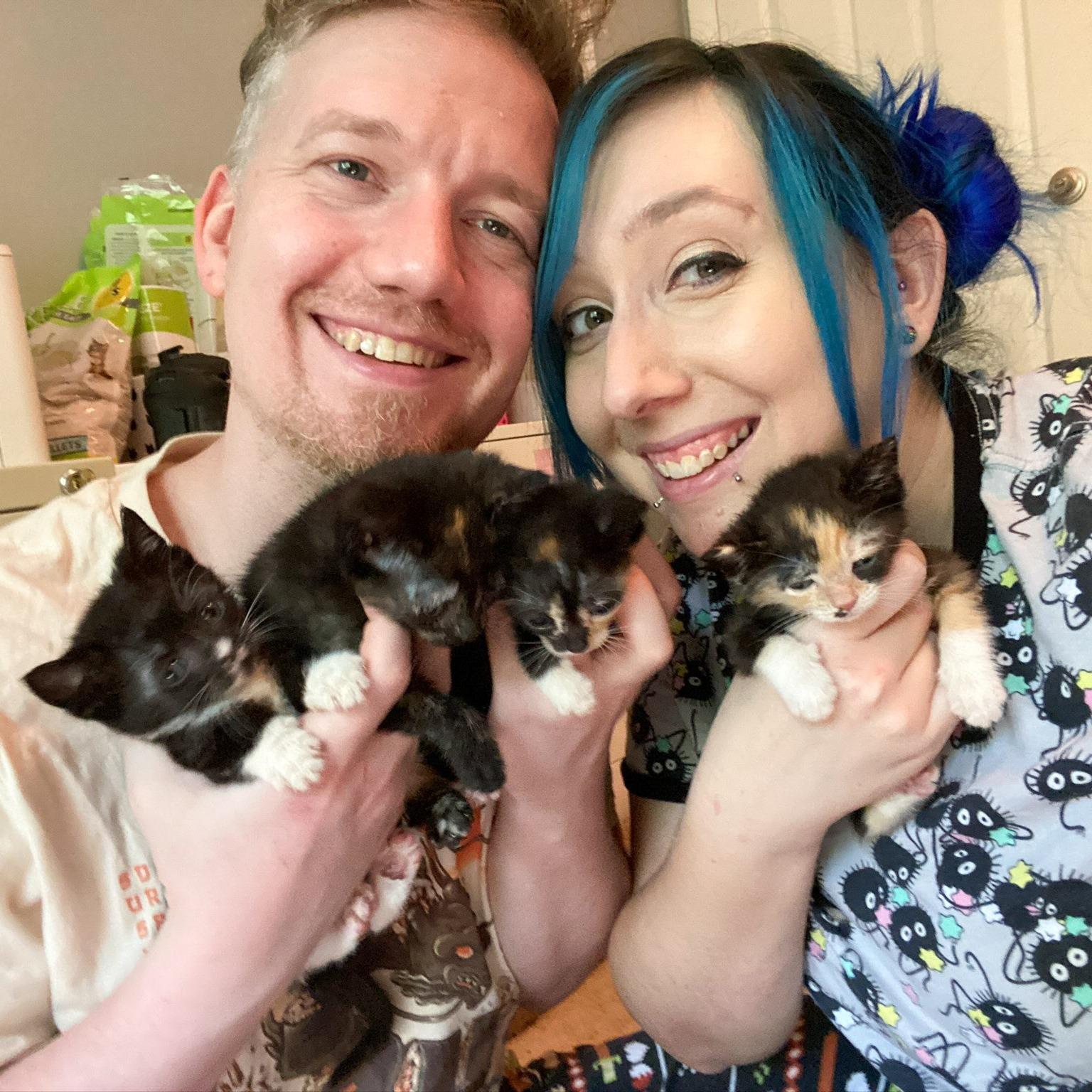 Kittens! | 2020