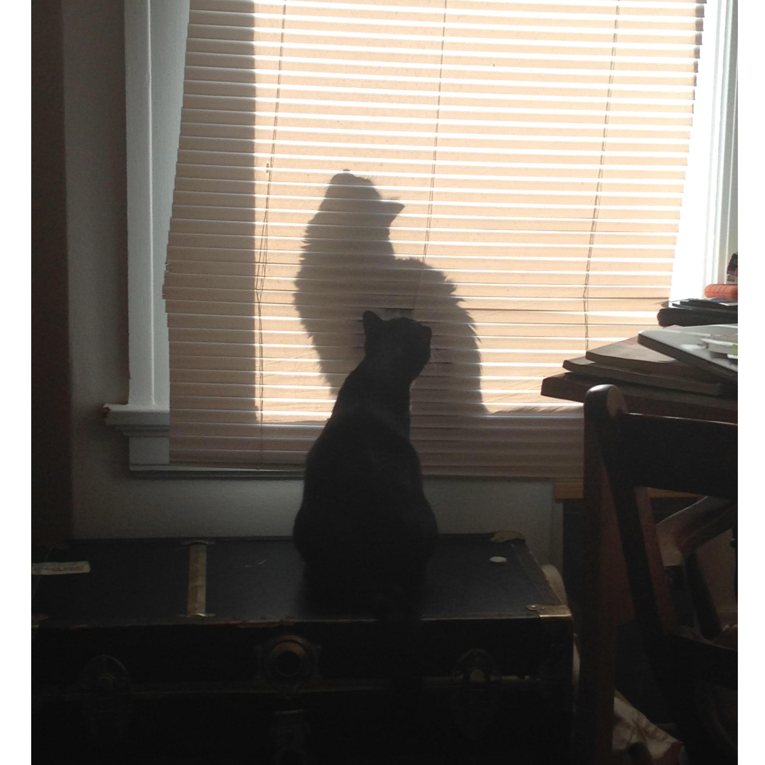 Fall 2014, San Francisco, CA